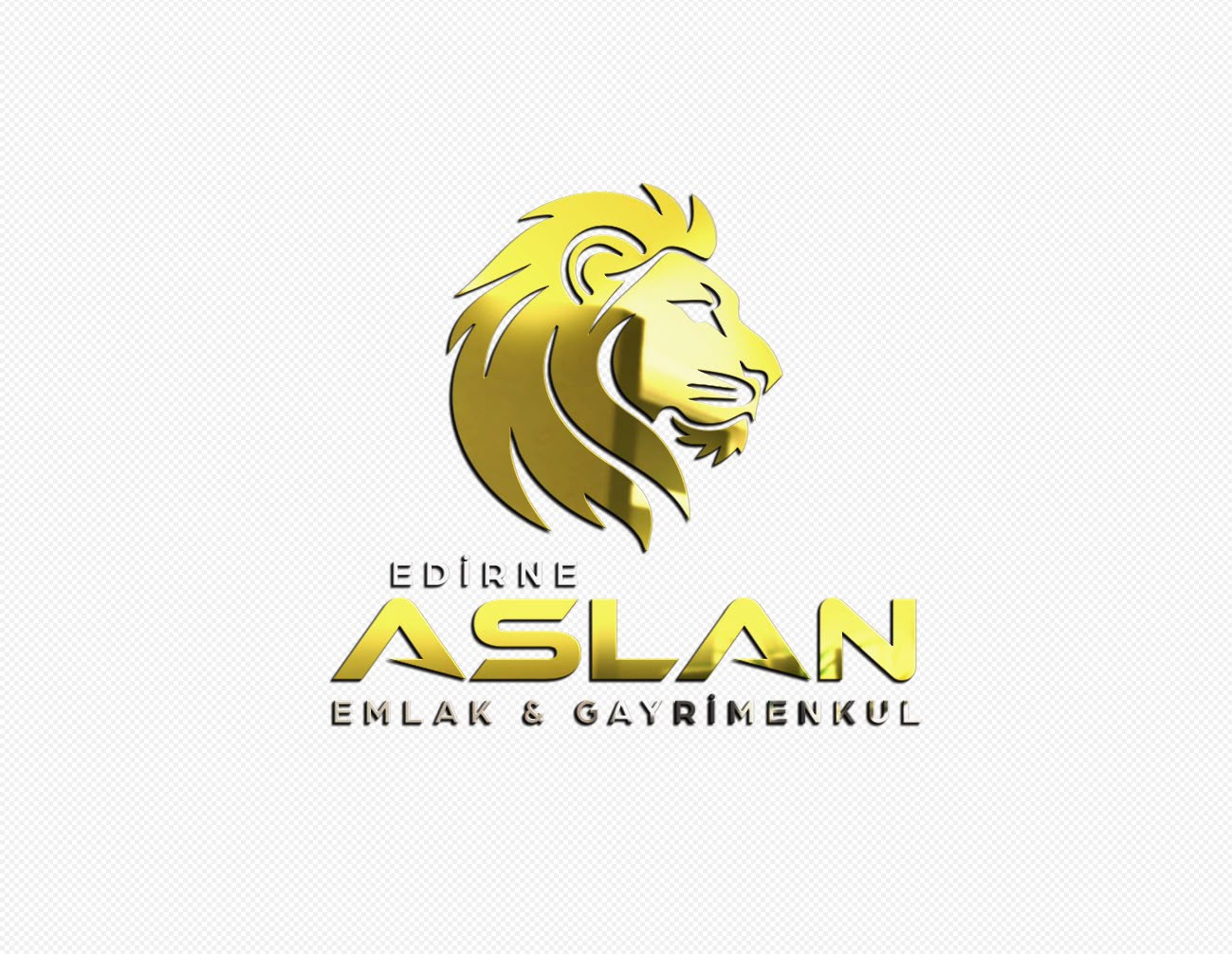 Edirne Aslan Emlak altın renkli kurumsal logo