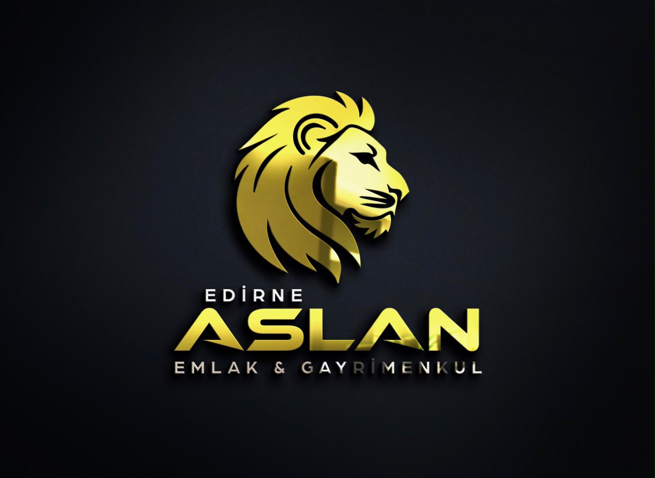 Edirne Aslan Emlak siyah zeminli kurumsal logo